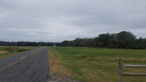 colts neck homes for sale farm road